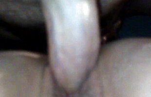 Canzana tuga