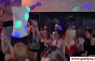 Real party amateurs sucking before sex in high def